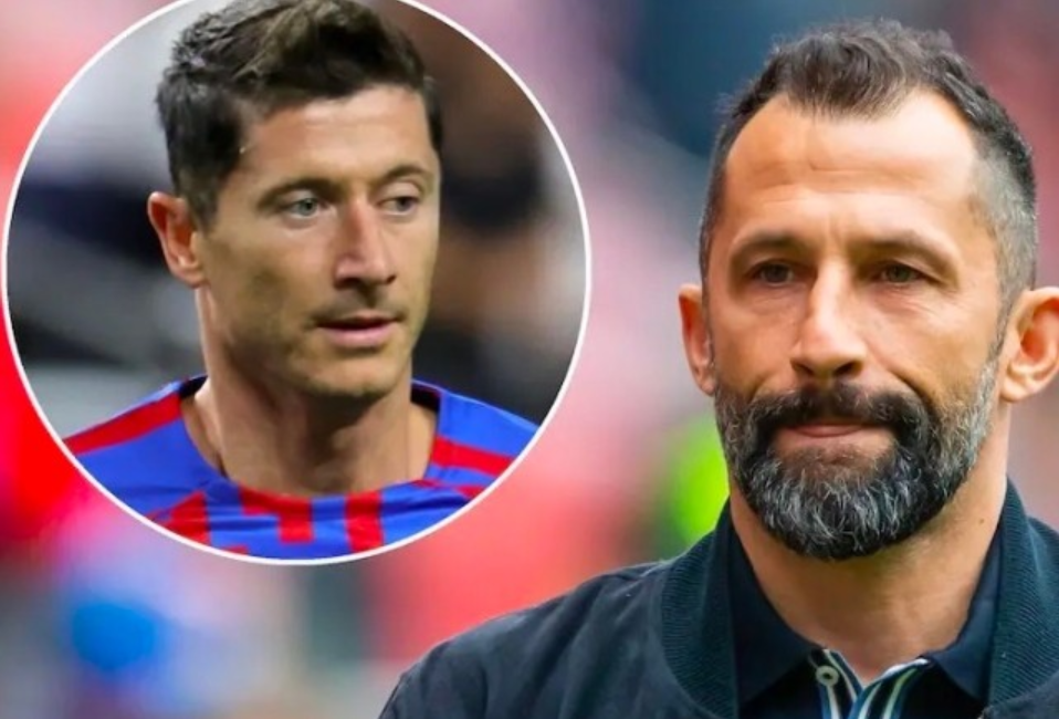 成为中国滑 成为中国滑